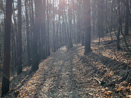 23-03-01 15-35-50 4541